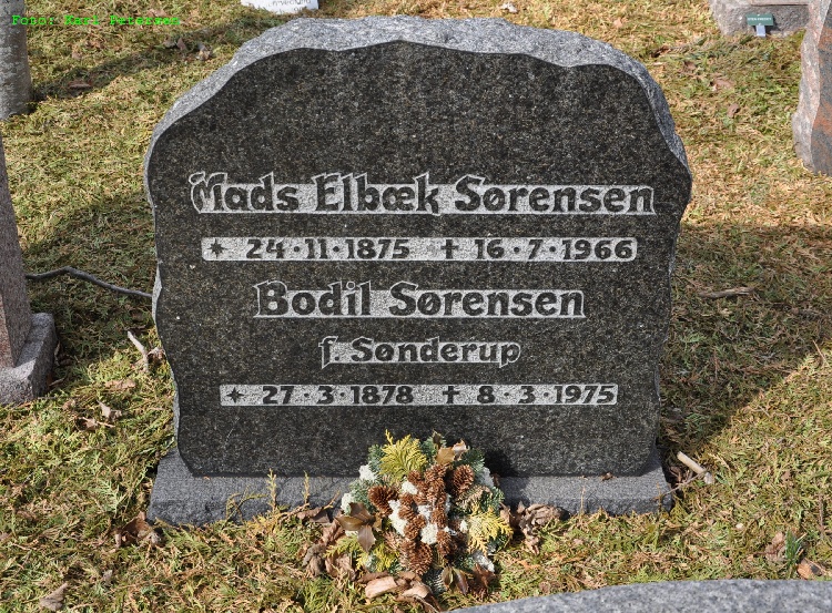 http://dk-gravsten.dk/kirkeg/Jernved/Jernved_L108.jpg